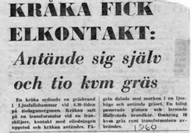 1960 Notis Kråka
