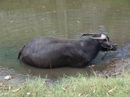 image062.jpg
