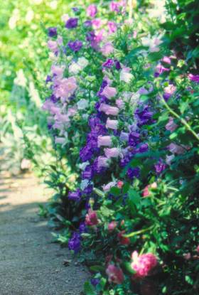 image008