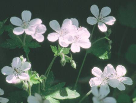image014