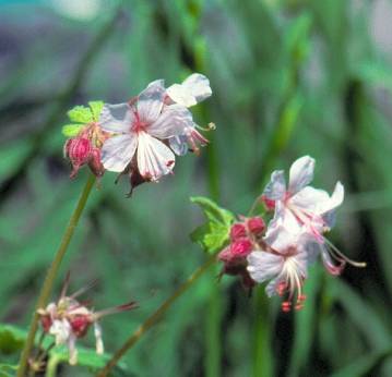 image018
