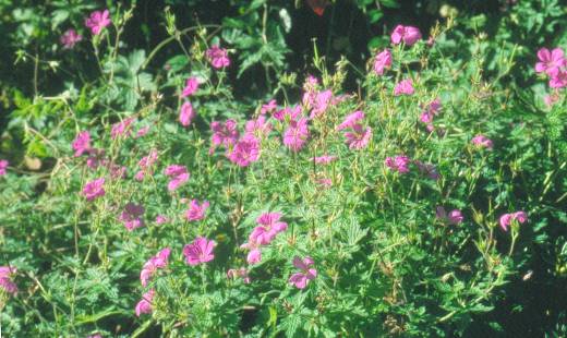 image020