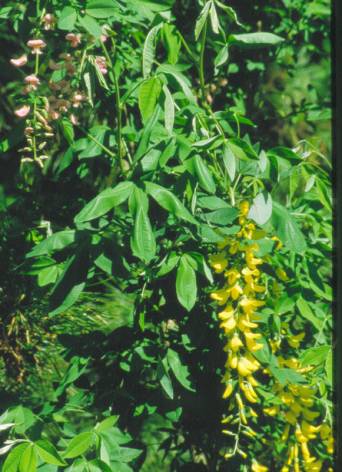 image028