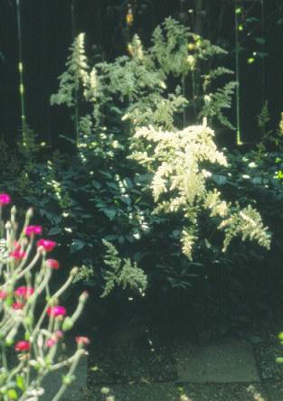 image030
