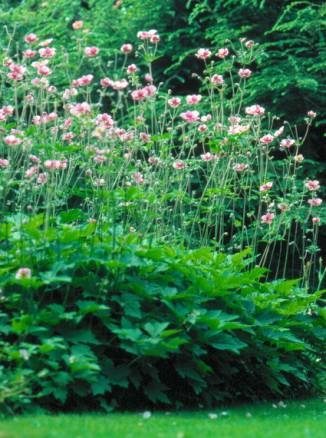 image032