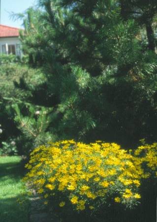 image036
