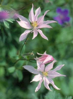 image010