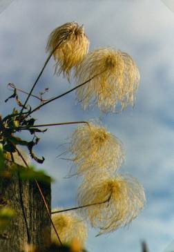 image020