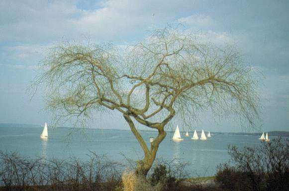 image002