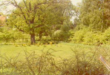 image008