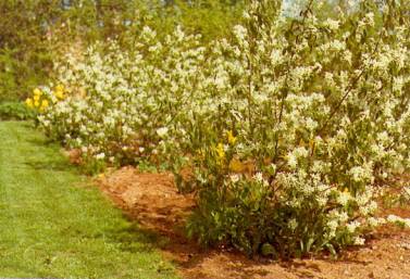 image010