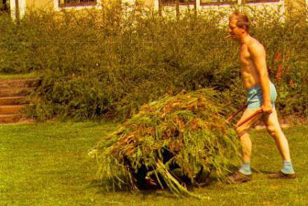 image002