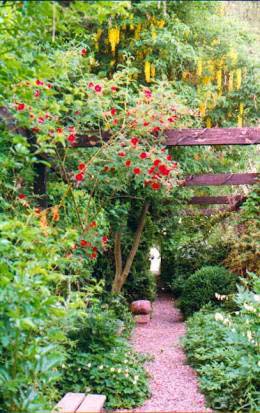 image011