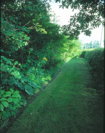 image004