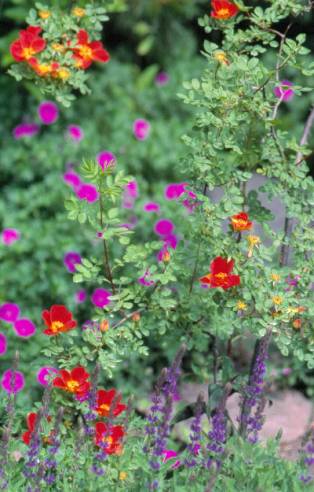 image010