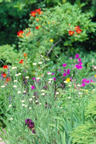 image012