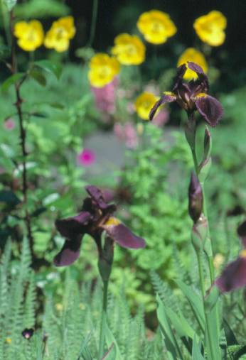 image014