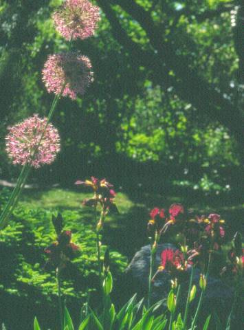 image016