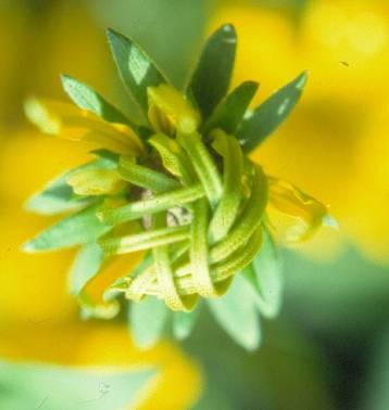 image018