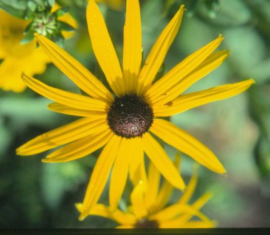 image020