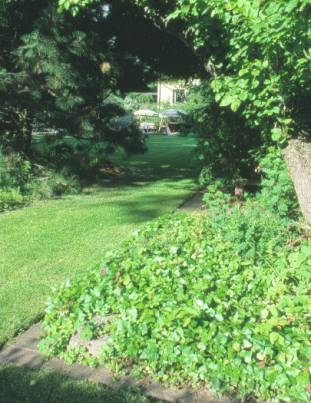 image026
