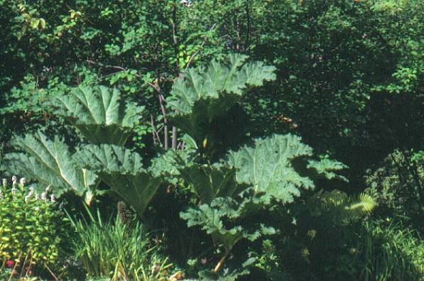 image024