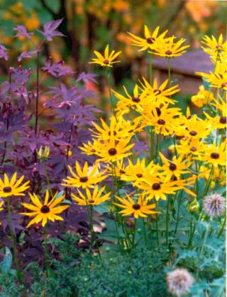 image007