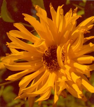image013