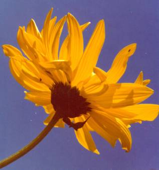 image015