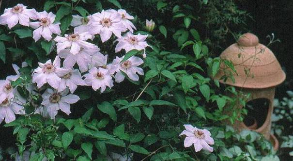 image011