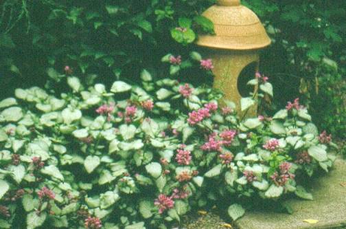 image015