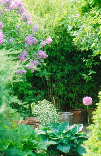image009