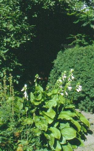 image011