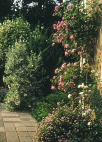 image017