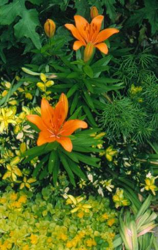 image019