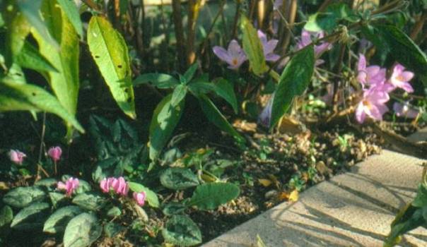 image015