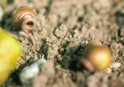 image023