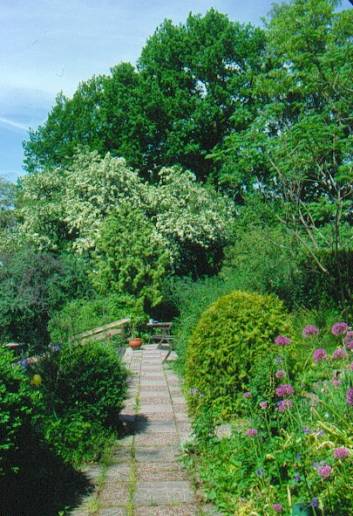 image006