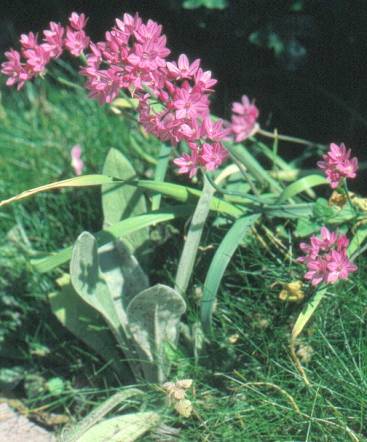 image010
