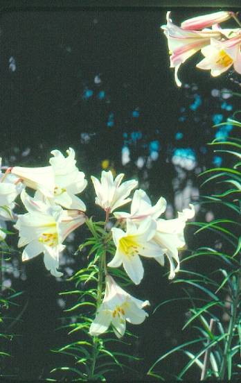 image014