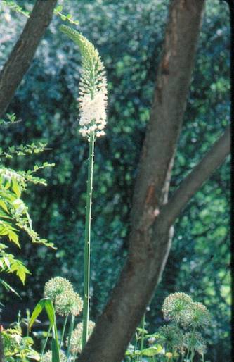 image016