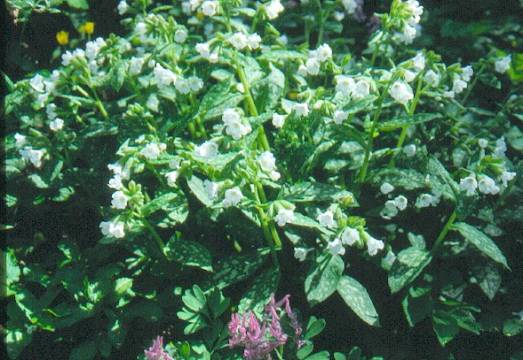 image020