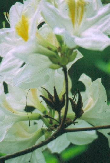 image022