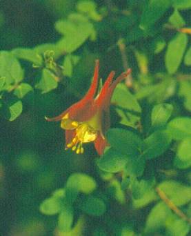 image013