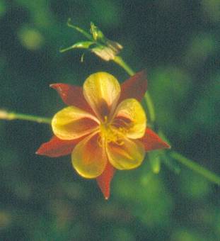 image015