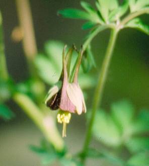 image019