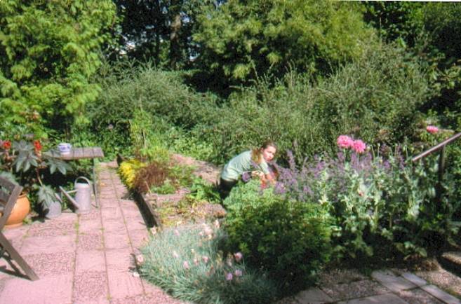 image021