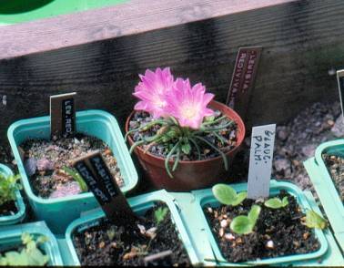 image023