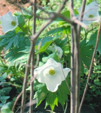 image025