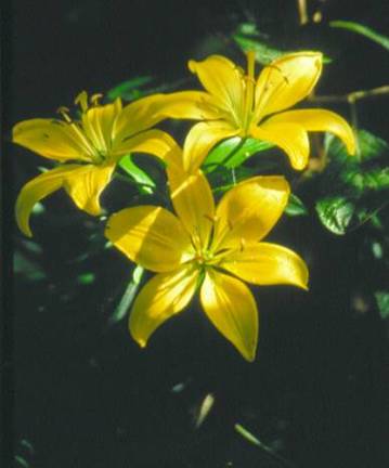 image014